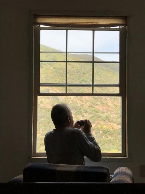 viendo la fauna local con binoculares desde la ventana