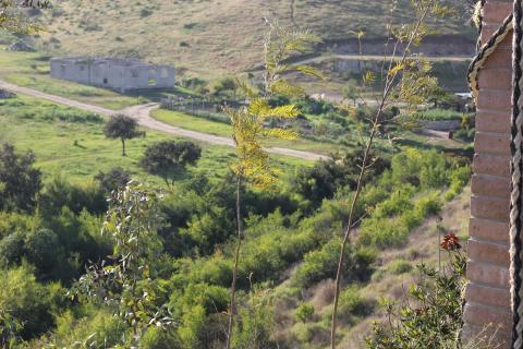 vista a las arboledas del arroyo
