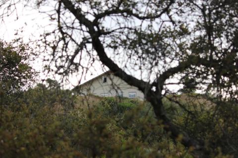 casa principal vista desde un arbol en el arroyo